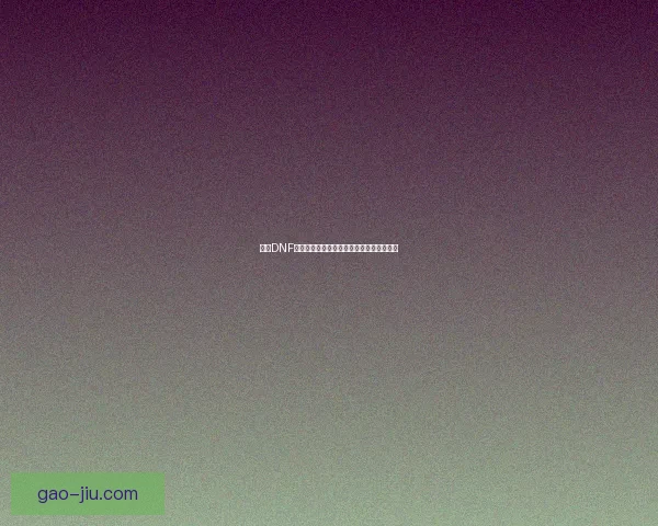 探究DNF代理现象及其对游戏生态的影响与风险分析